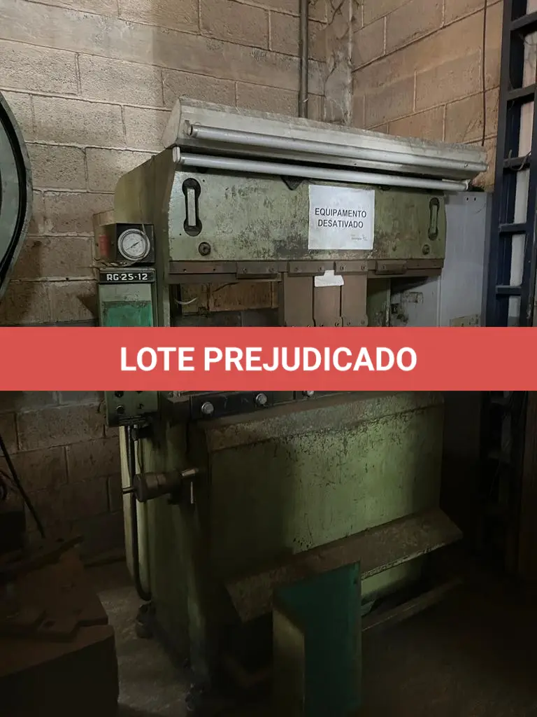 LOTE 110