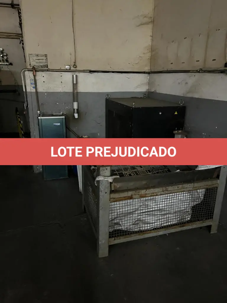 LOTE 119
