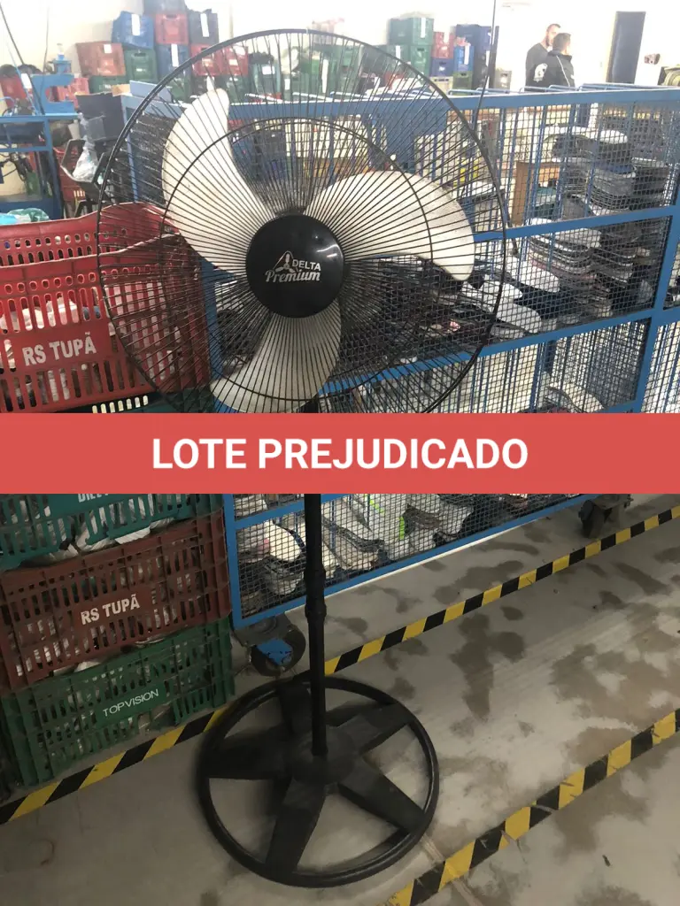 LOTE 050
