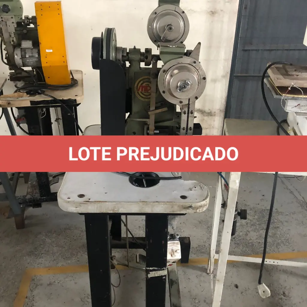 LOTE 113