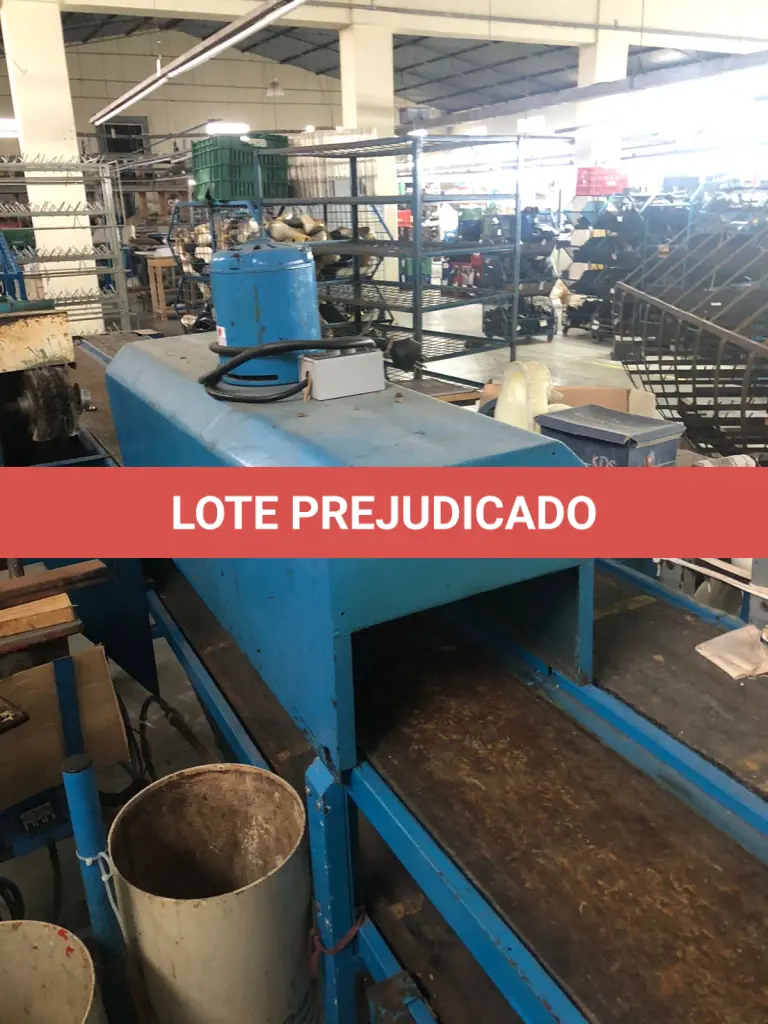 LOTE 029