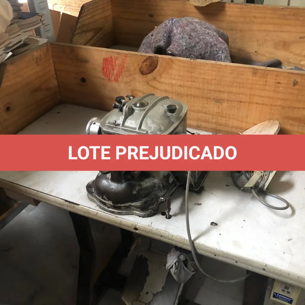 LOTE 119