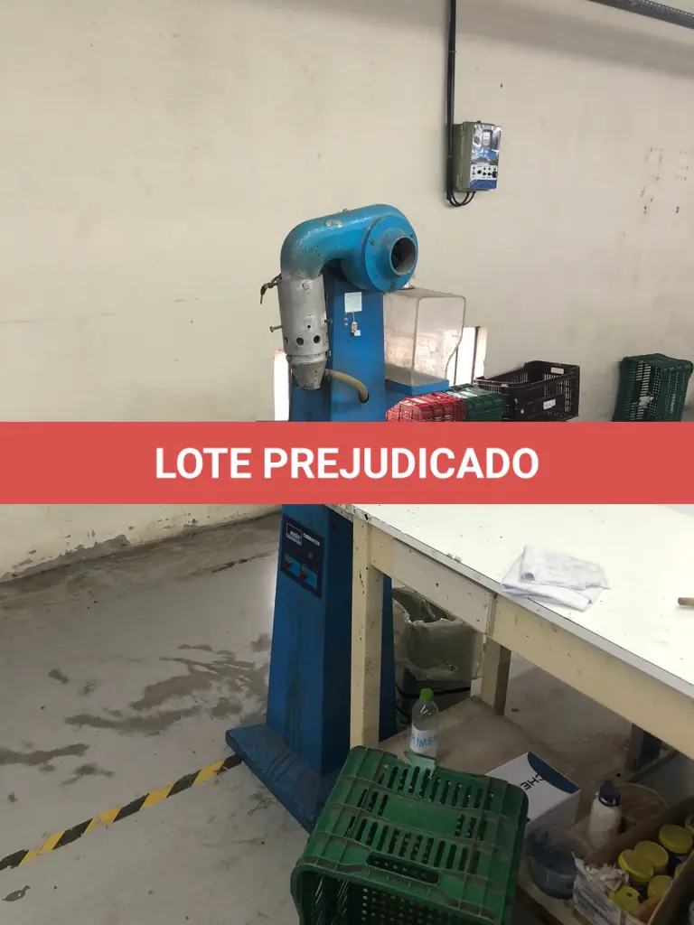 LOTE 011