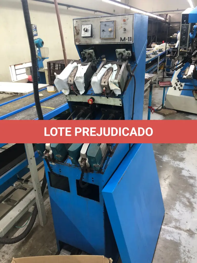 LOTE 010