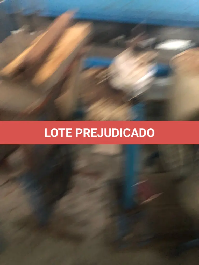 LOTE 031