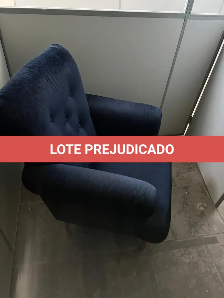 LOTE 133