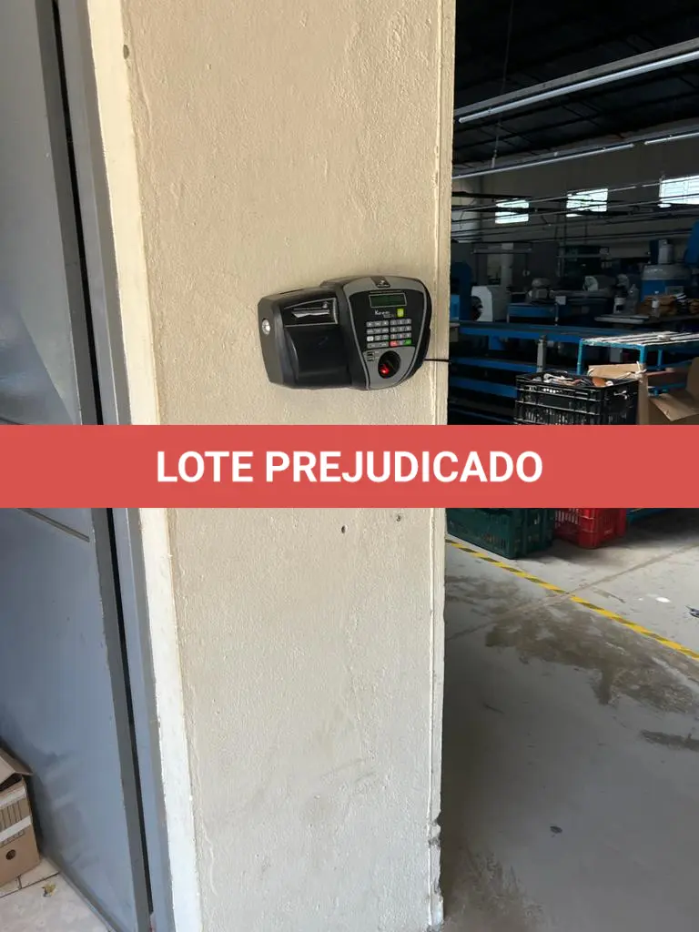 LOTE 001