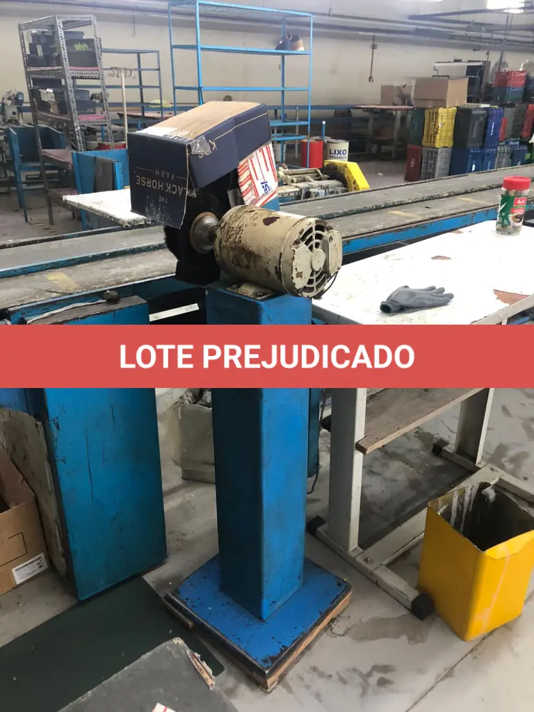 LOTE 017
