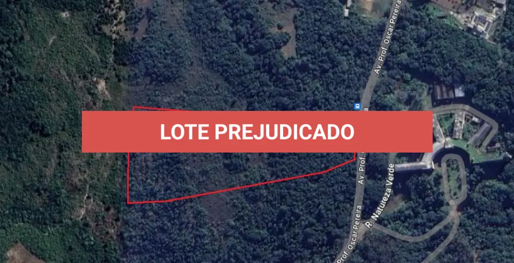 LOTE 001