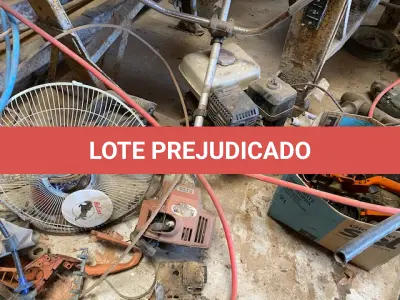 LOTE 021 - Roçadeira