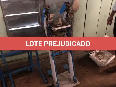 LOTE 169 - prensa de desenformar