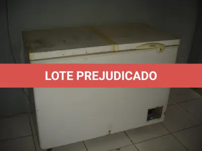 LOTE 060 - Freezer horizontal