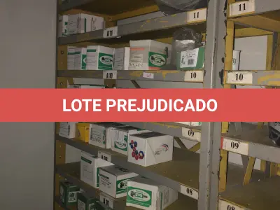 LOTE 069 - Lote com 3 prateleiras e parafusos de diversos modelos 