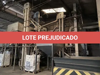 LOTE 005 - sistema de preparação de feijão com moega pequena tipo bacia, elevadores, desbastadoras, filtragem, secagem, com mesa vibratoria e classificação de grãos