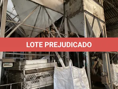 LOTE 005 - sistema de preparação de feijão com moega pequena tipo bacia, elevadores, desbastadoras, filtragem, secagem, com mesa vibratoria e classificação de grãos