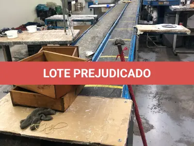 LOTE 002 - uma esteira dupla para sapatos com 24 metros