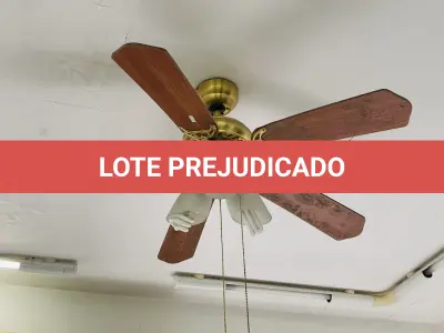 LOTE 007 - Bens diversos