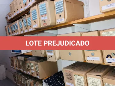 LOTE 007 - Bens diversos