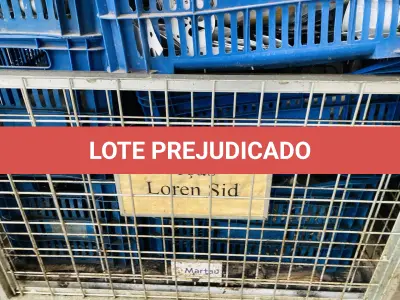 LOTE 007 - Bens diversos