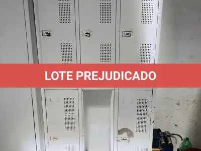 LOTE 007 - Bens diversos