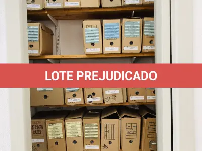 LOTE 007 - Bens diversos