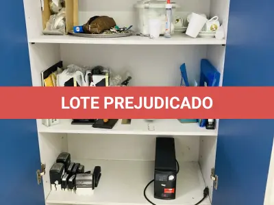 LOTE 007 - Bens diversos