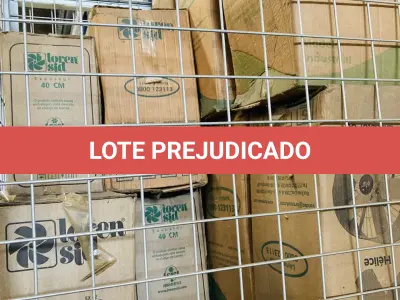 LOTE 007 - Bens diversos