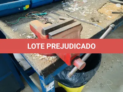 LOTE 007 - Bens diversos