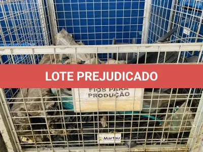 LOTE 007 - Bens diversos