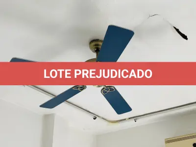 LOTE 007 - Bens diversos