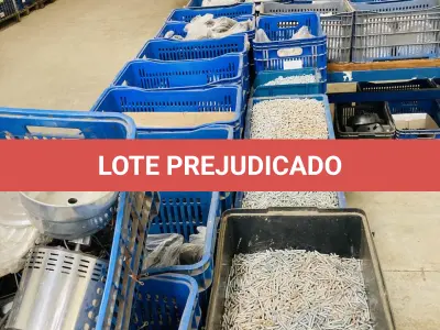 LOTE 007 - Bens diversos