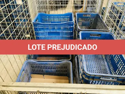 LOTE 007 - Bens diversos