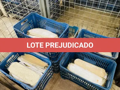 LOTE 007 - Bens diversos