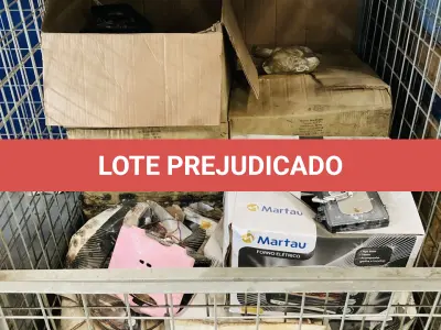 LOTE 007 - Bens diversos