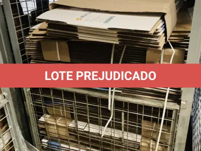 LOTE 007 - Bens diversos