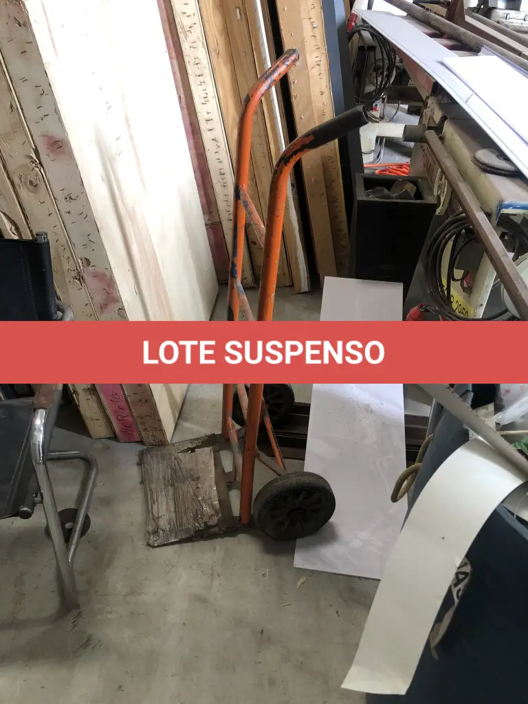 LOTE 007