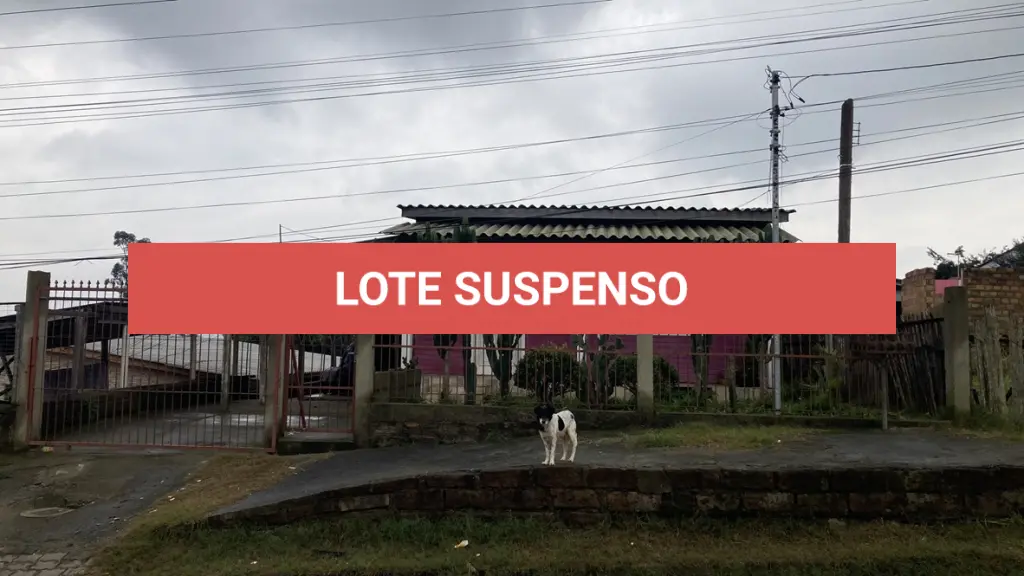 LOTE 025
