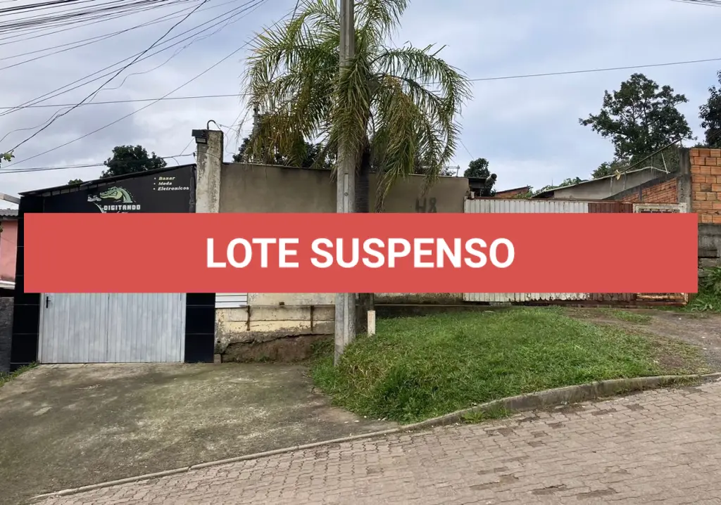 LOTE 113