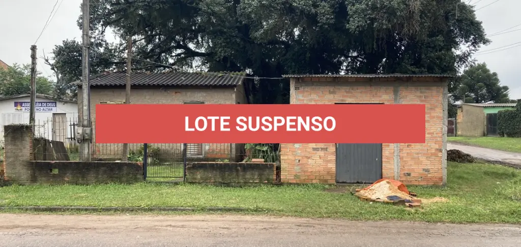 LOTE 131