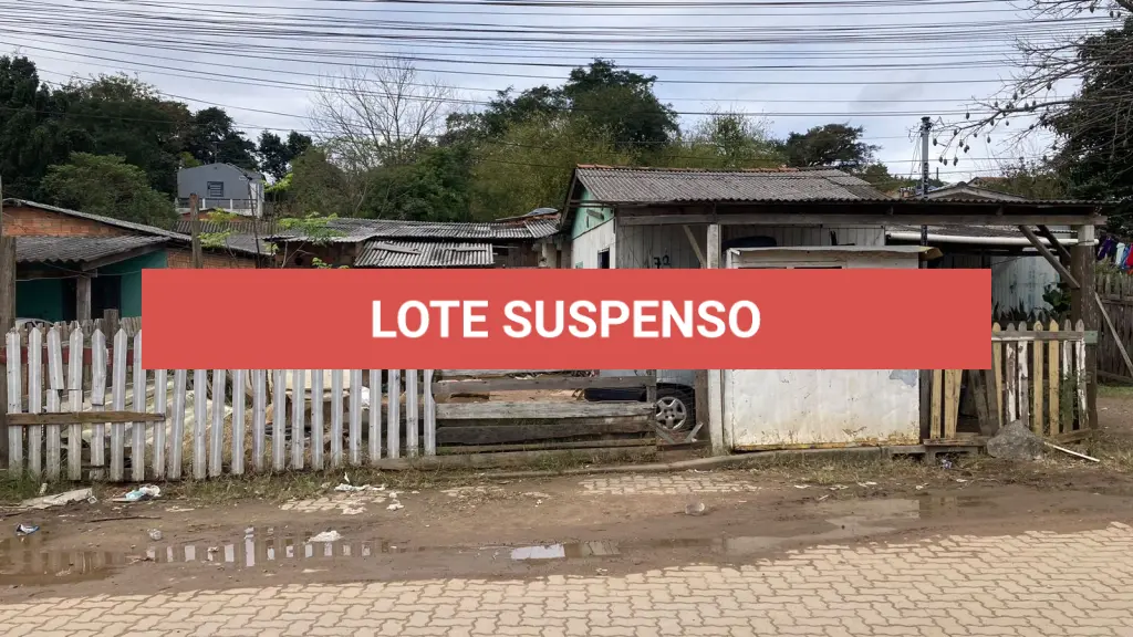 LOTE 119