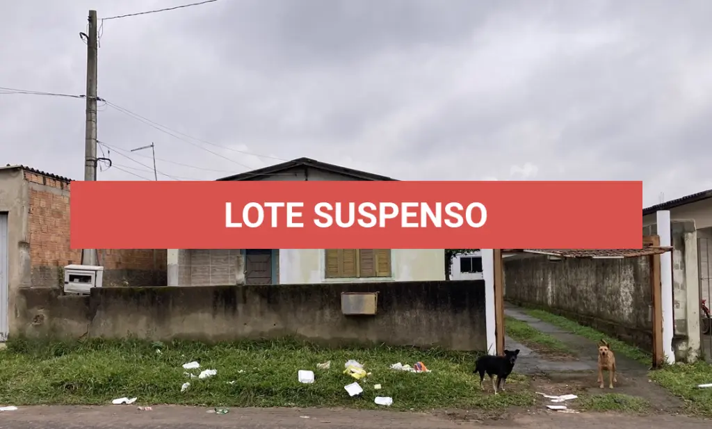 LOTE 143