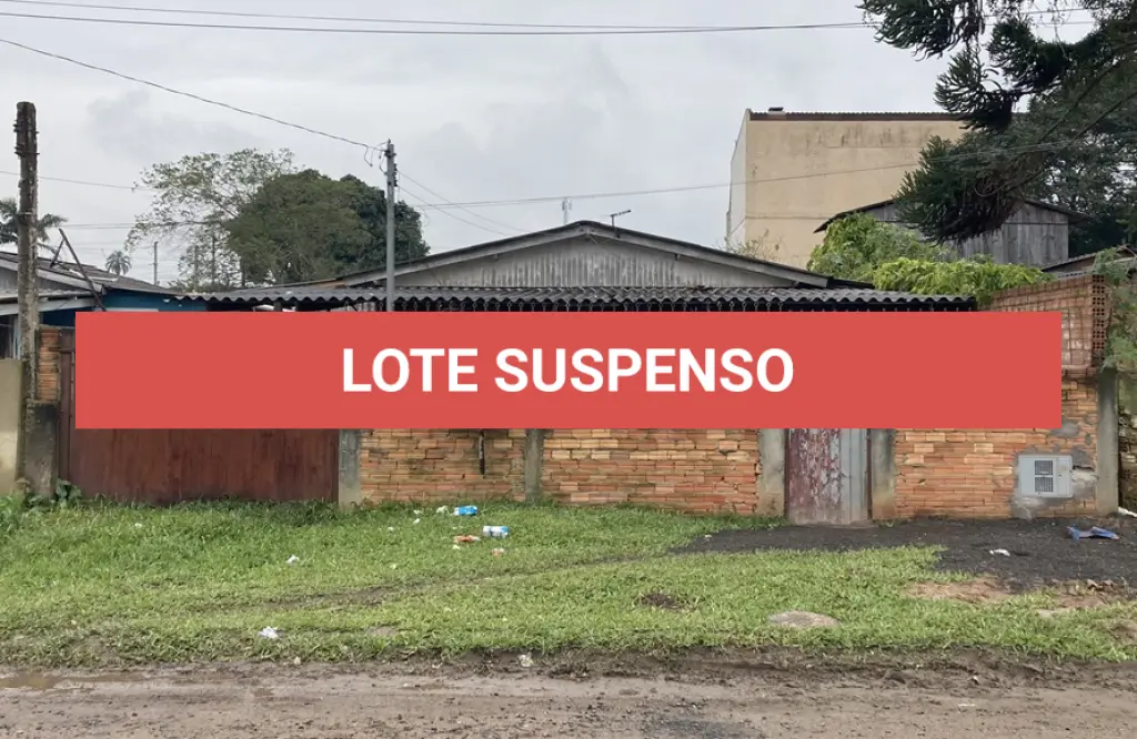 LOTE 101