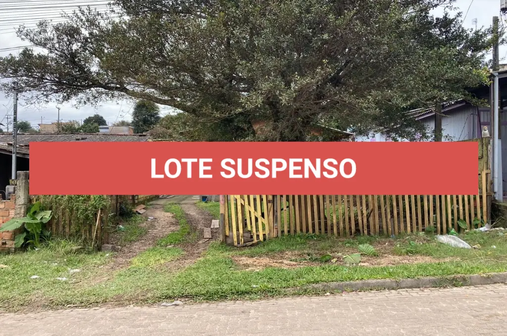 LOTE 111