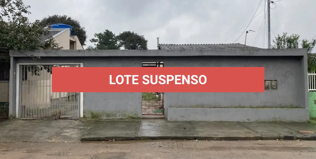 LOTE 133