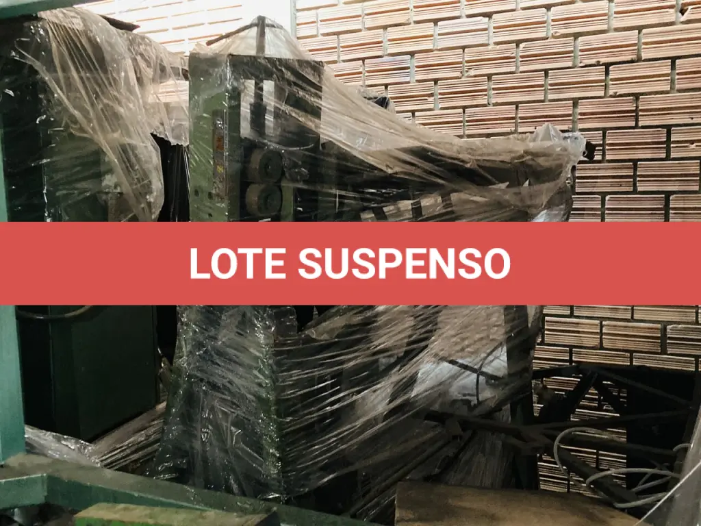 LOTE 100