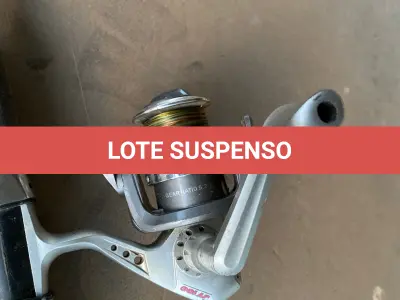 LOTE 081 - 