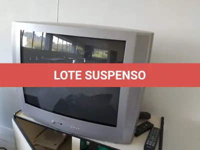 LOTE 060 - 