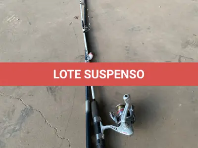 LOTE 081 - 