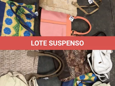 LOTE  - SAPATOS E BOLSAS FEMININOS