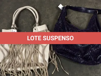LOTE  - SAPATOS E BOLSAS FEMININOS